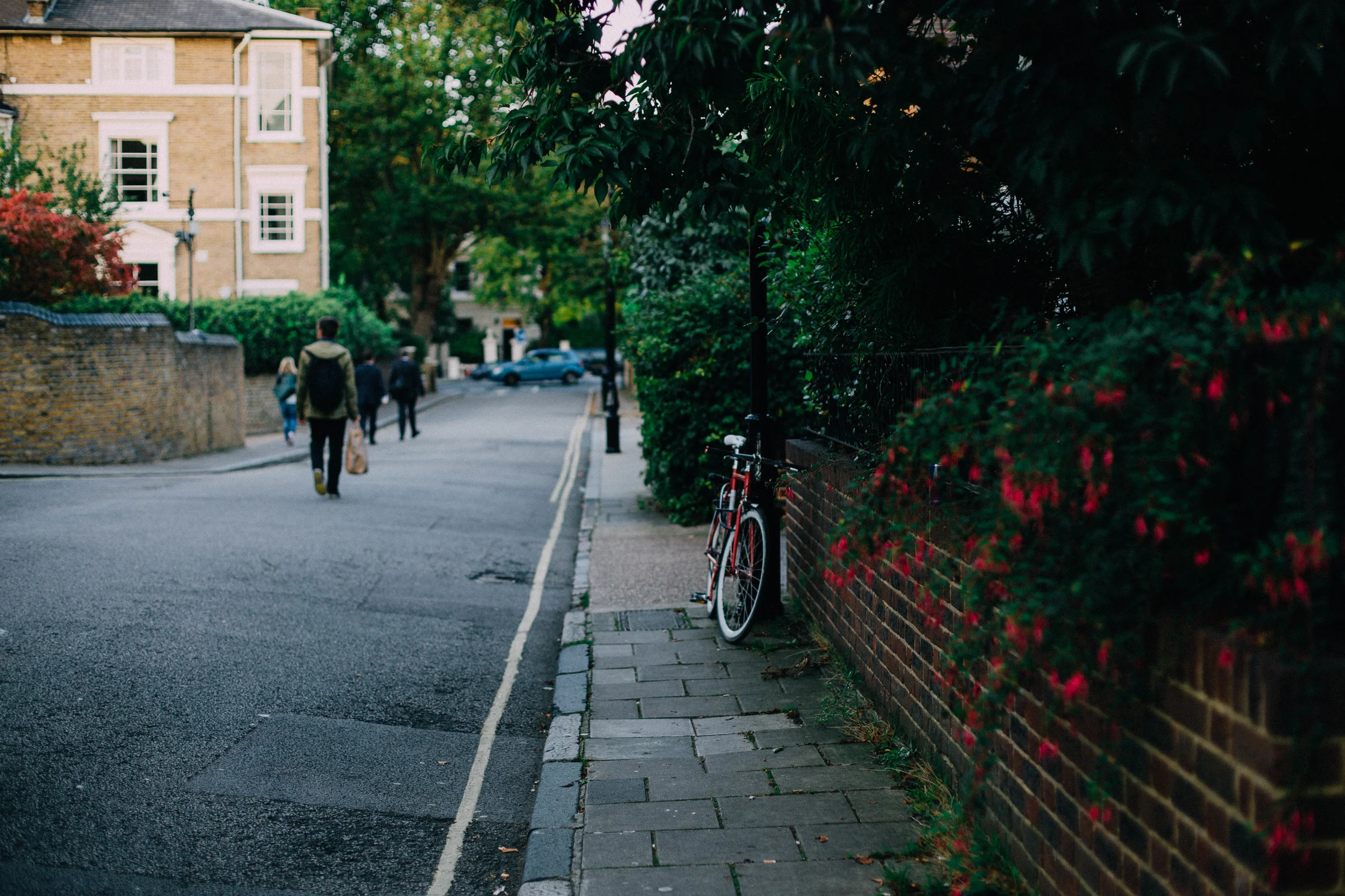 The cool shade of a sunny day
