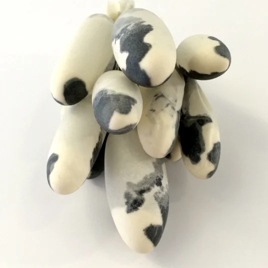 3D sketch of clustered cocoons - latex gloves, flower, paint.