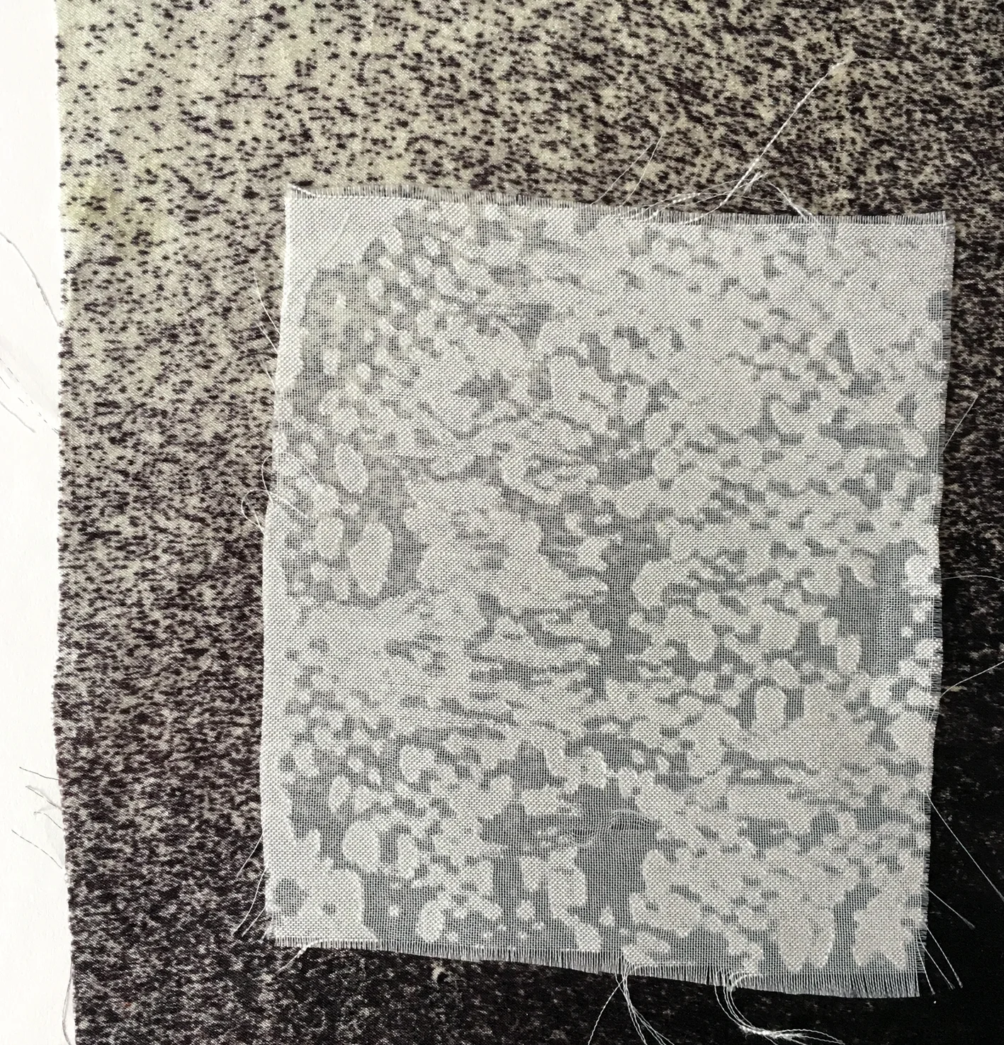 RIKKELEMMING-TEXTILE MICROSCOPE-PIC26.jpg