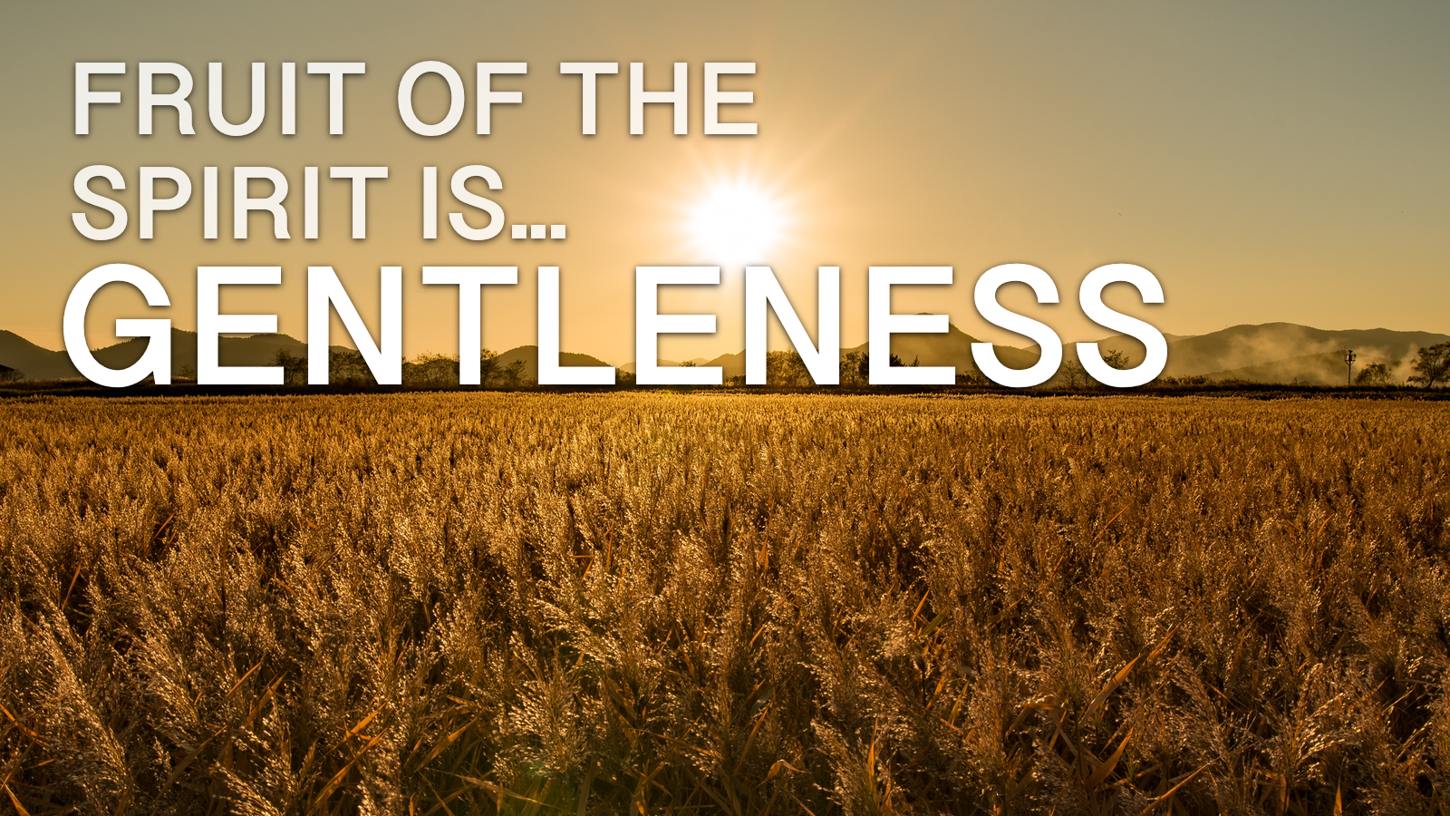 2019-03-04-The-Fruit-Of-The-Spirit-Is-Gentleness.png