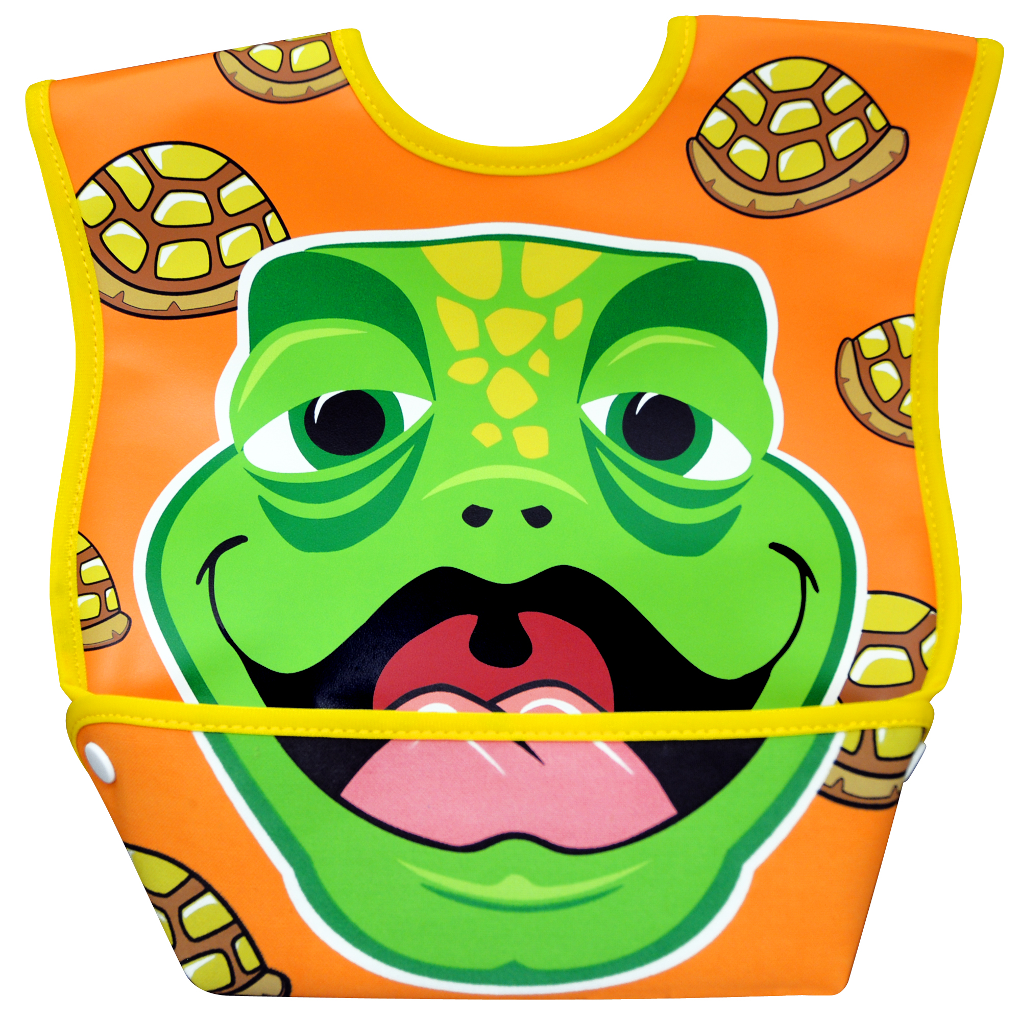 DBBML_turtle.jpg