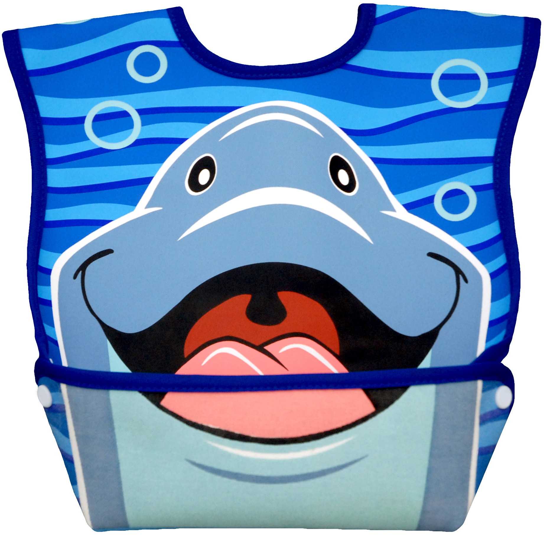 DBBM8_Dolphin.jpg