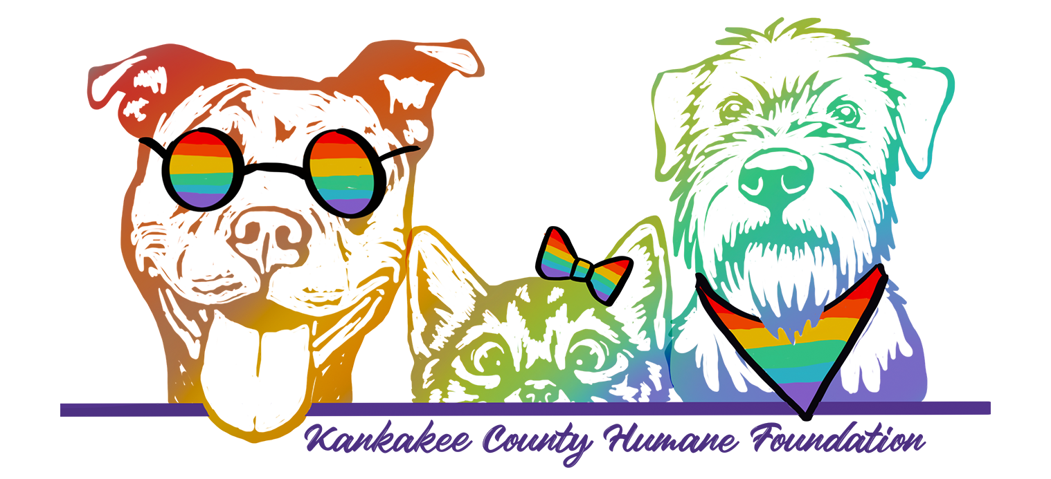 2022 Pride Shirt Design