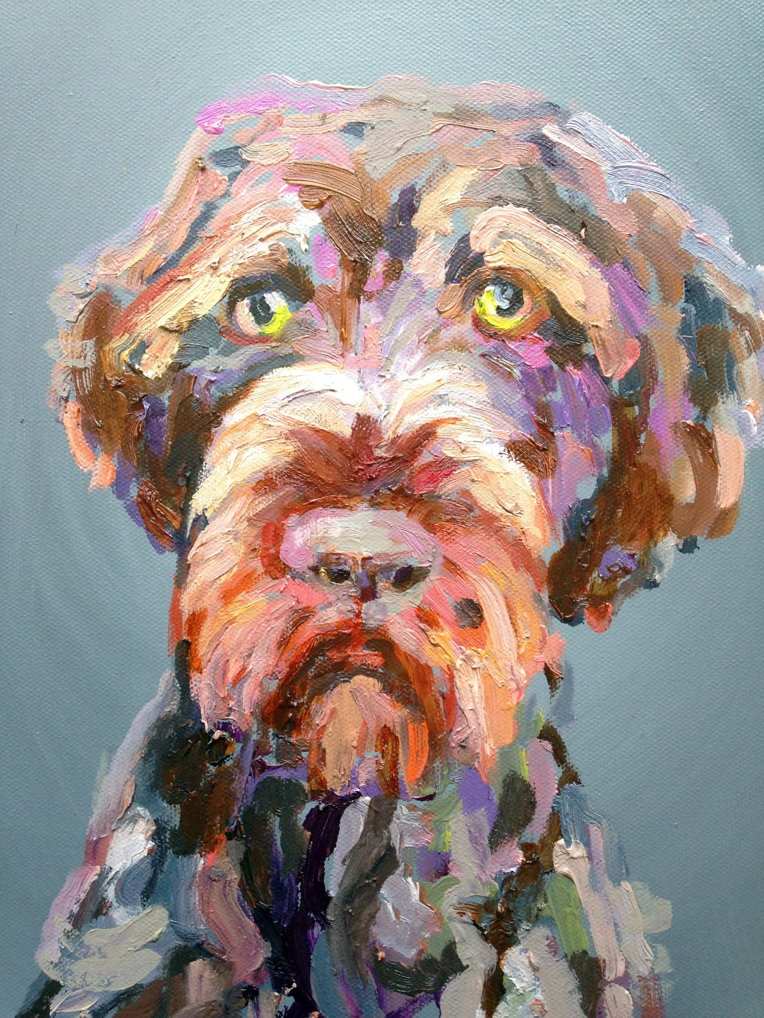 Jake.germanpointer.jpg