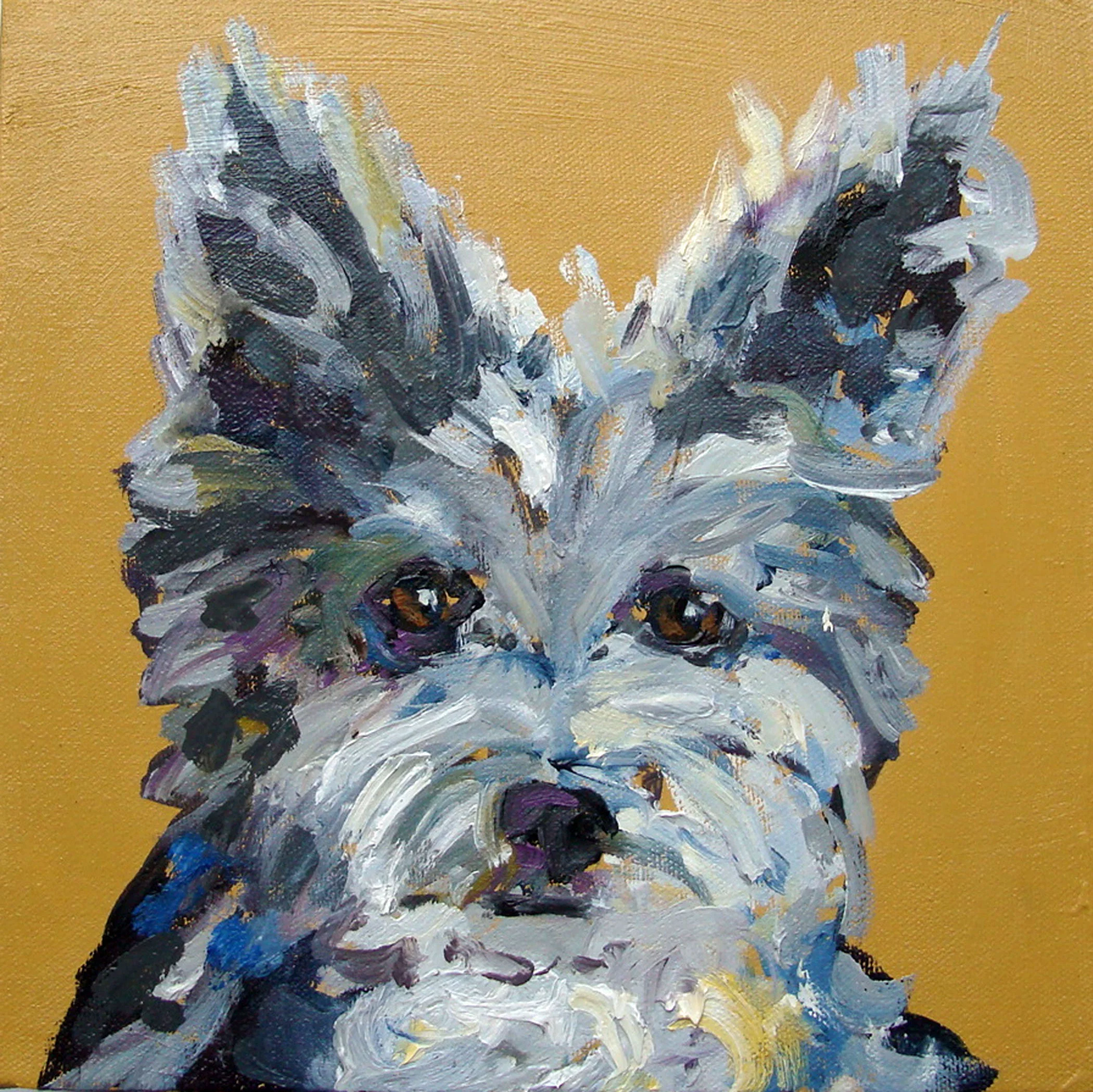 Tootsie.chihuamix.jpg
