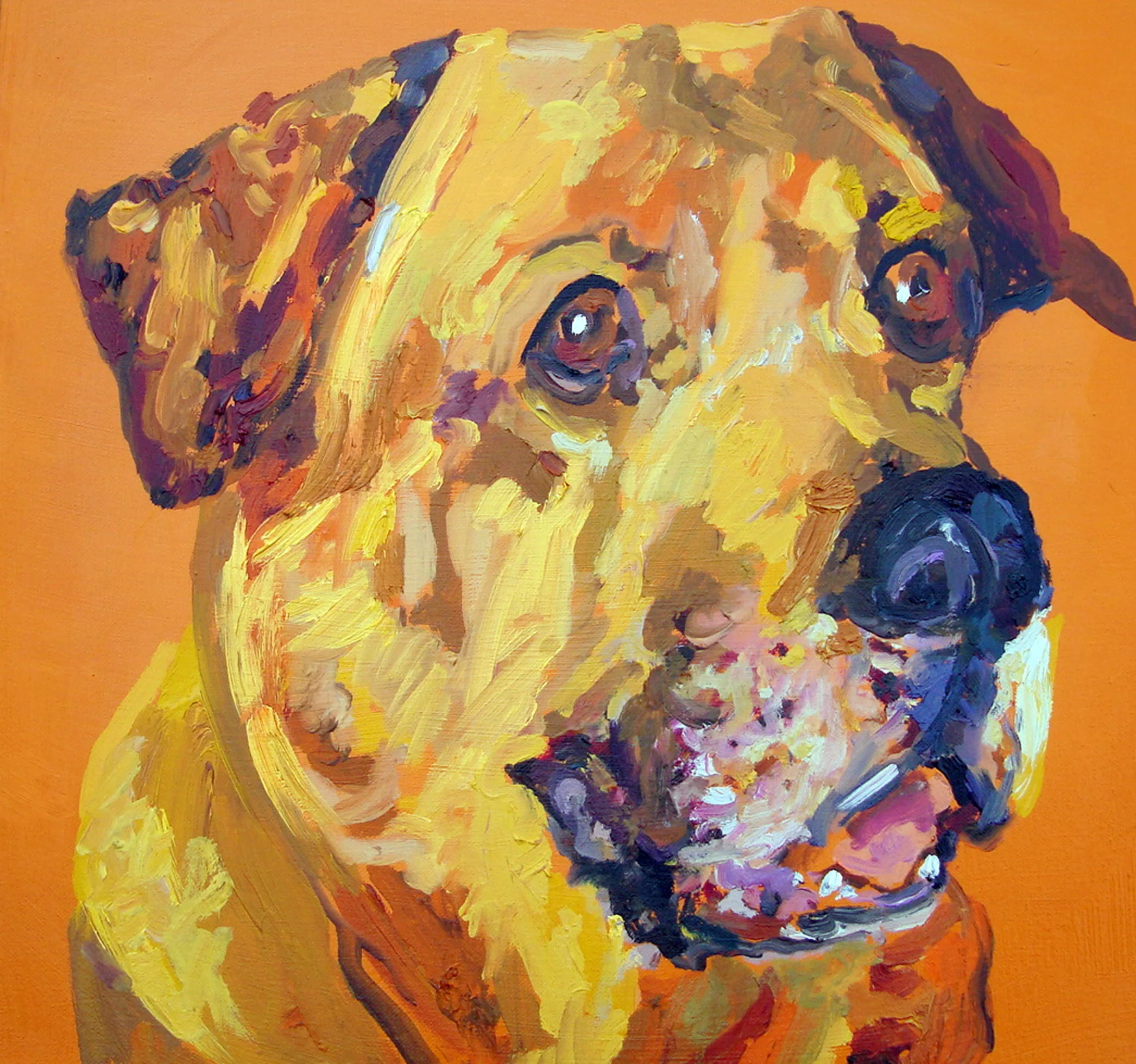 Buddha.mastiff.jpg
