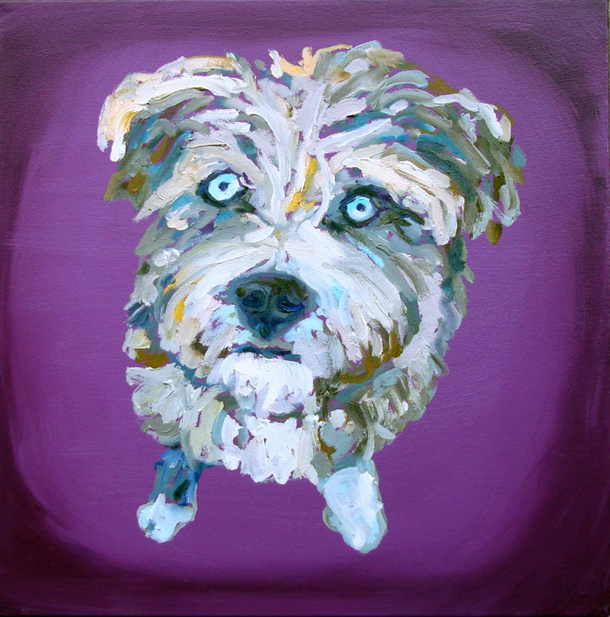 Diego.schnauzer.jpg