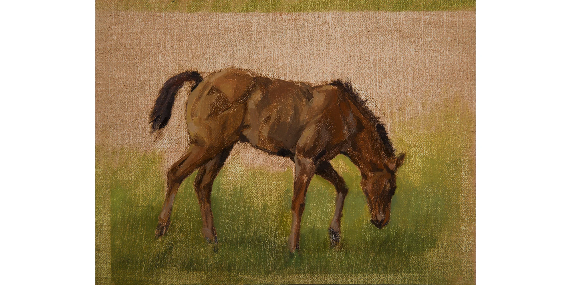 Newborn