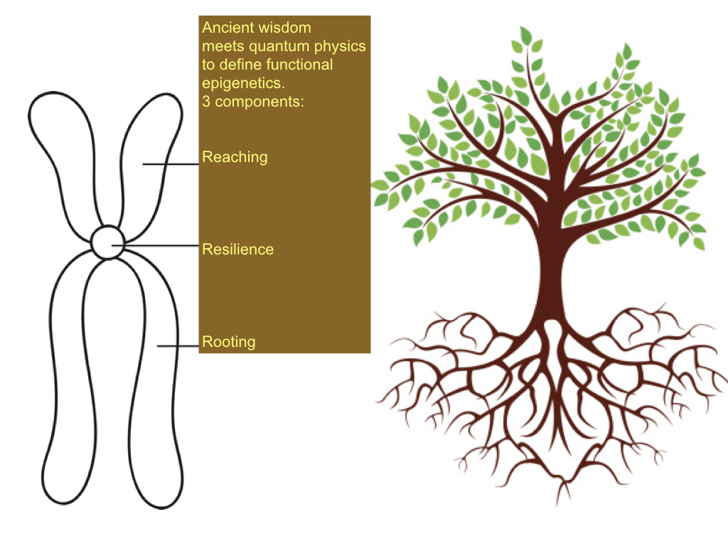 EPIGENETICS Extract.001.jpeg