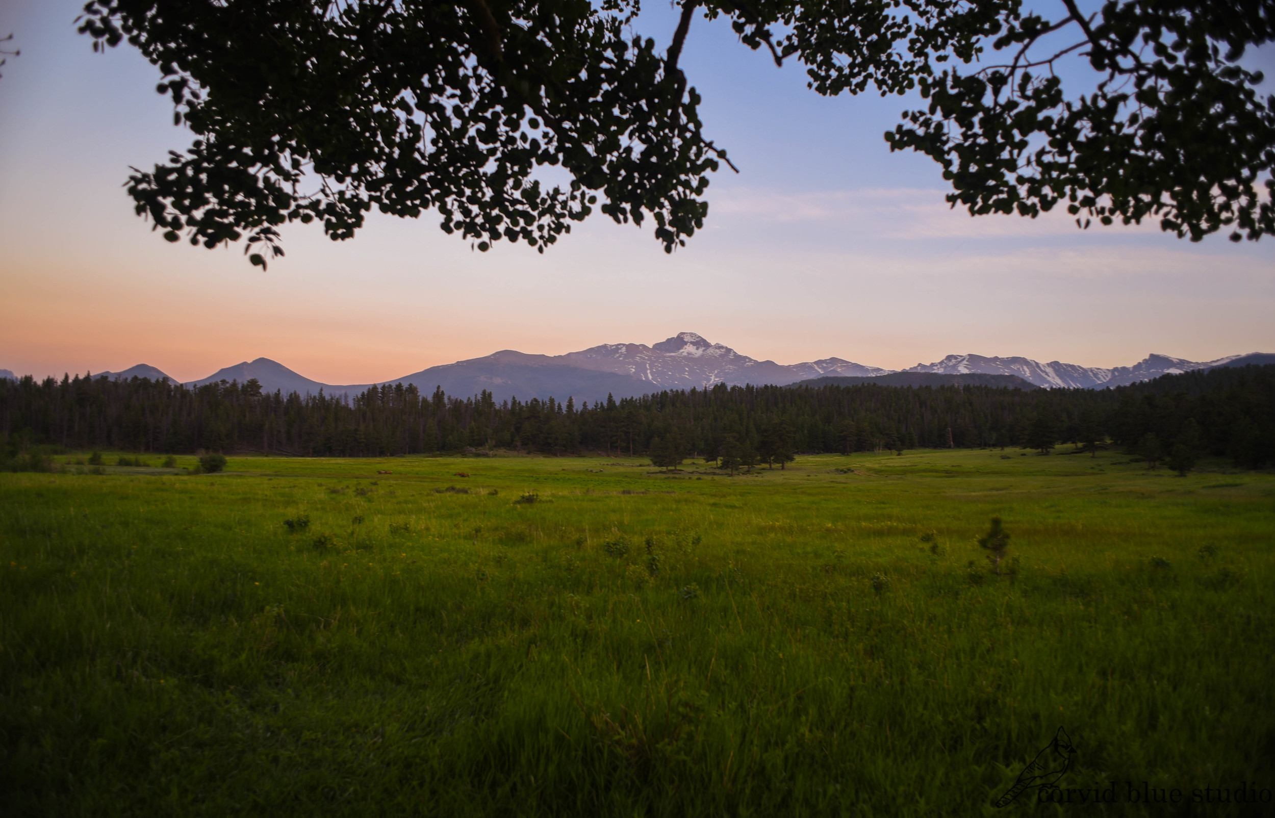 Longs Peak at dusk