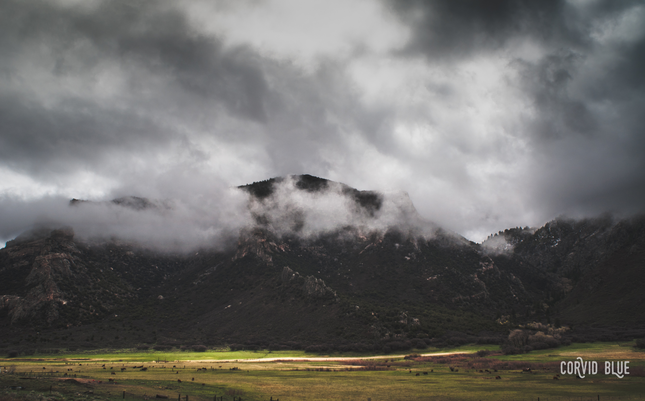 I don't actually remember where, Colorado.