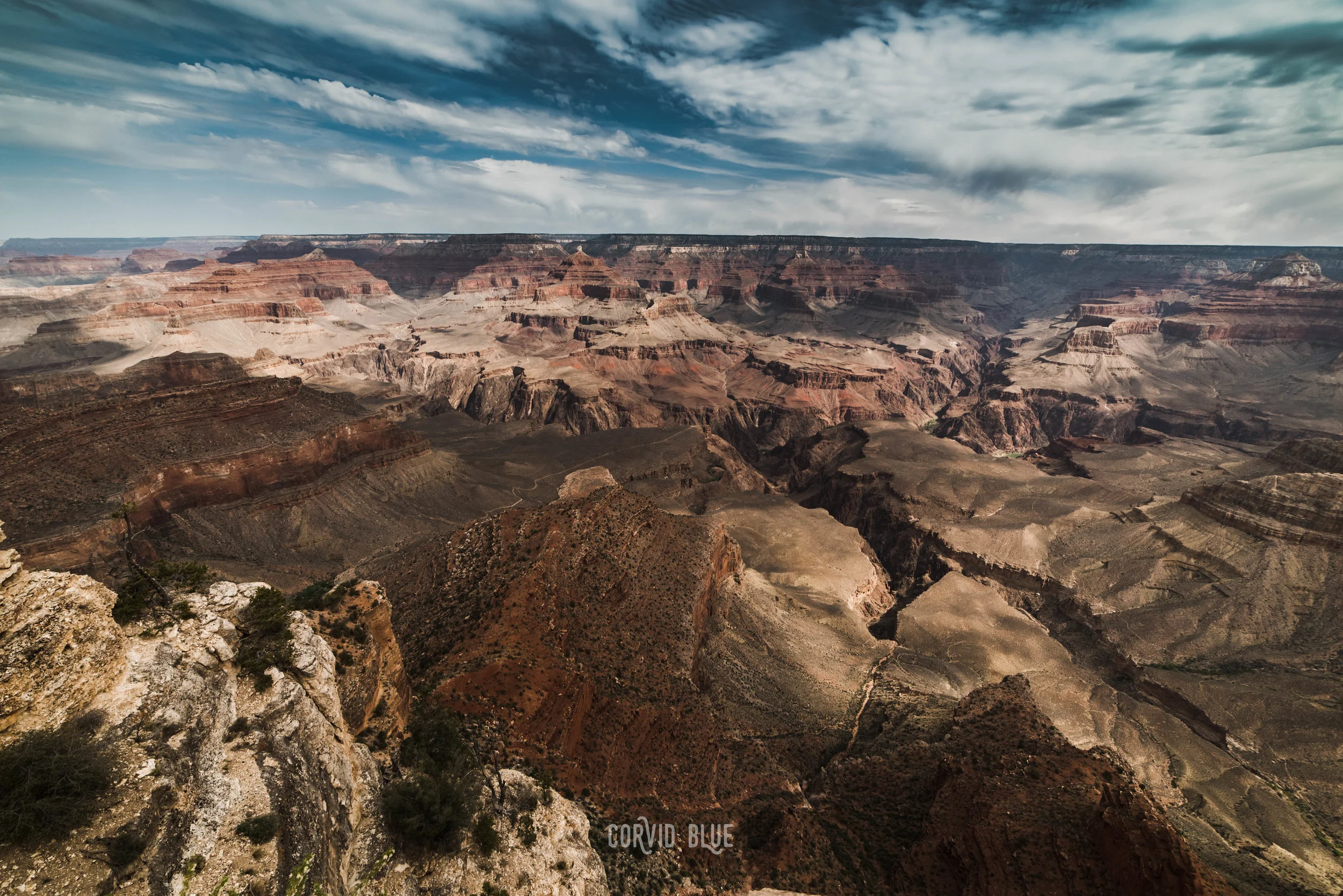 45608932442_f07fc2e5e1_o (1).jpg