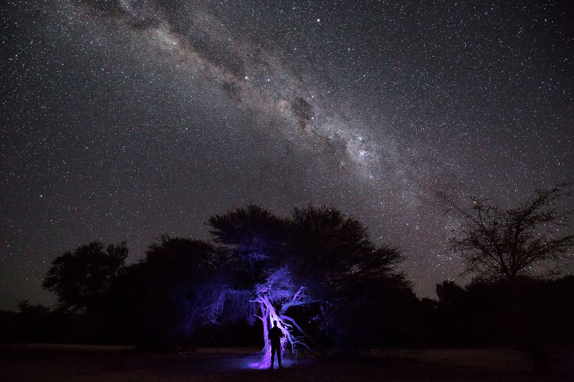 Above: Searching for fluorescing scorpions with UV light in the Kuiseb River - an ephemeral river that meanders through parts of the Namib Desert.