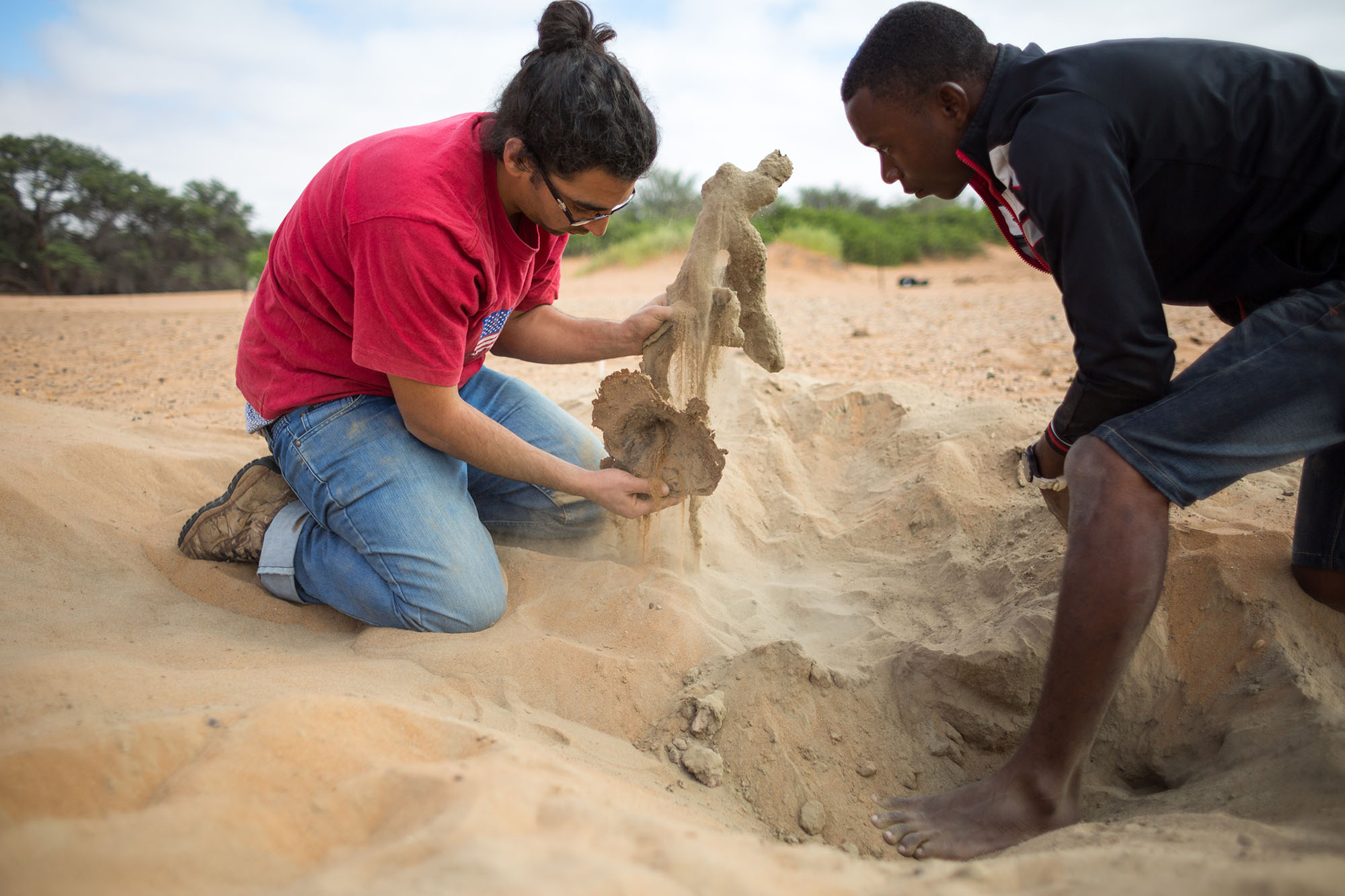 Above: Researchers at Gobabeb extract an unoccupied scorpion burrow from the sand. The burrow structure had hardened due to the drying of resin.
