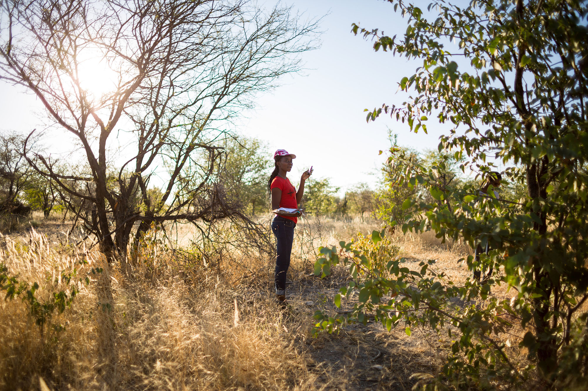 YES participant Helvi Nghitaleko searches for various tree and plant species in the field.
