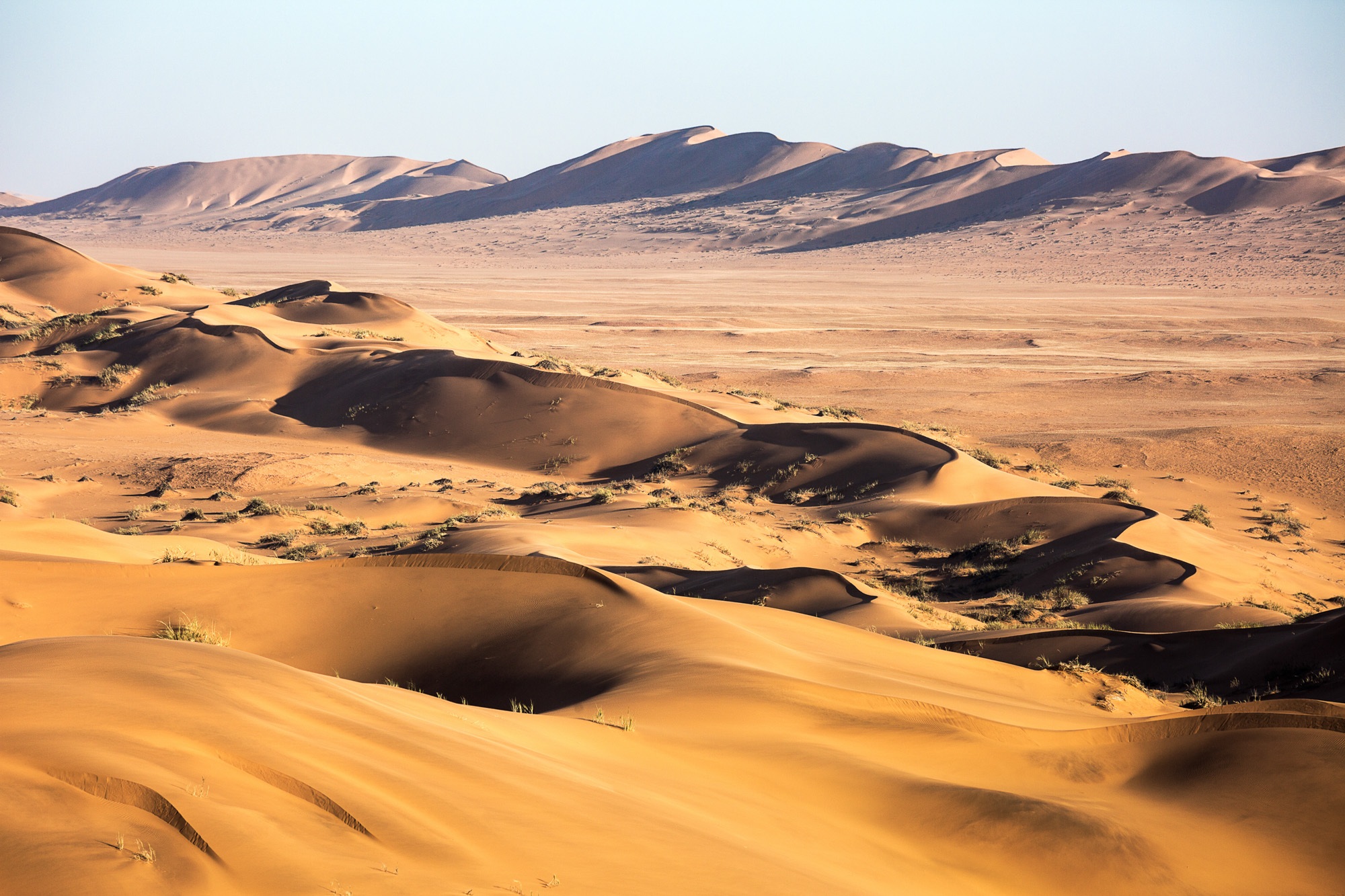 The Namib Sand Sea covers an area of over three million hectares.