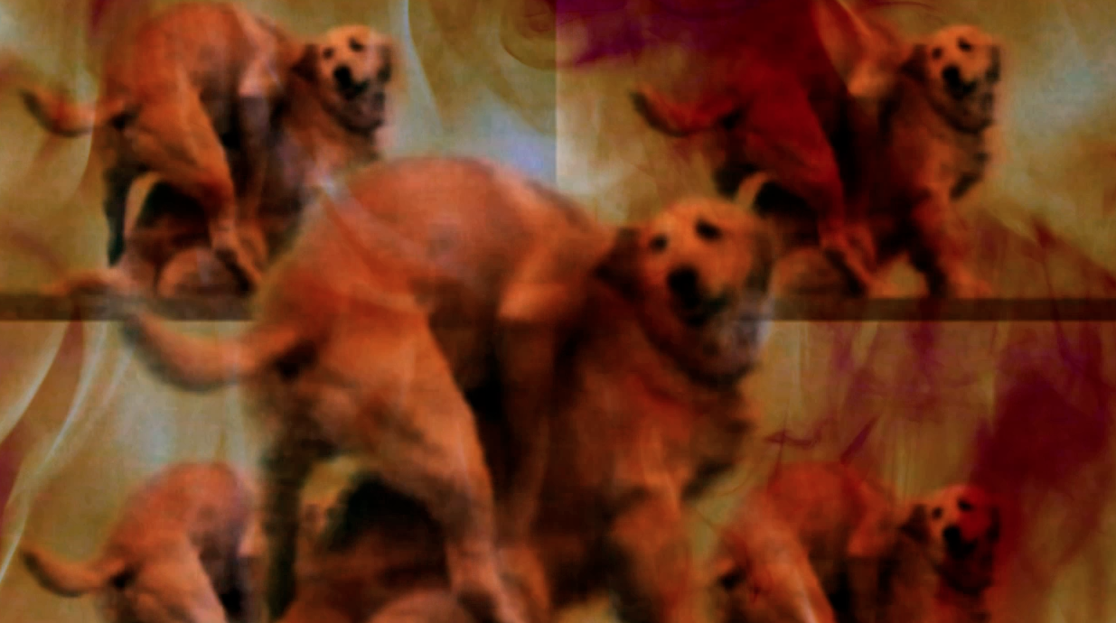 Screen Shot 2015-09-20 at 5.28.09 PM.png