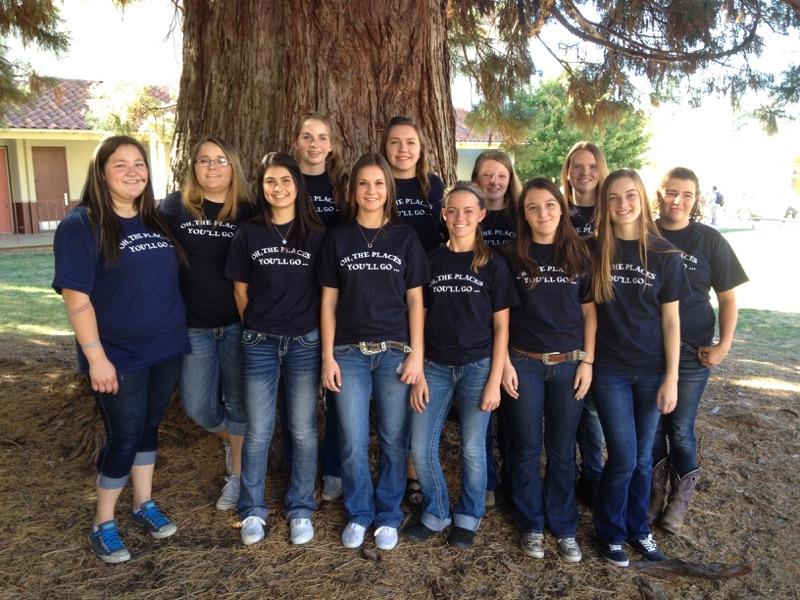 FFA Chapter Shirts
