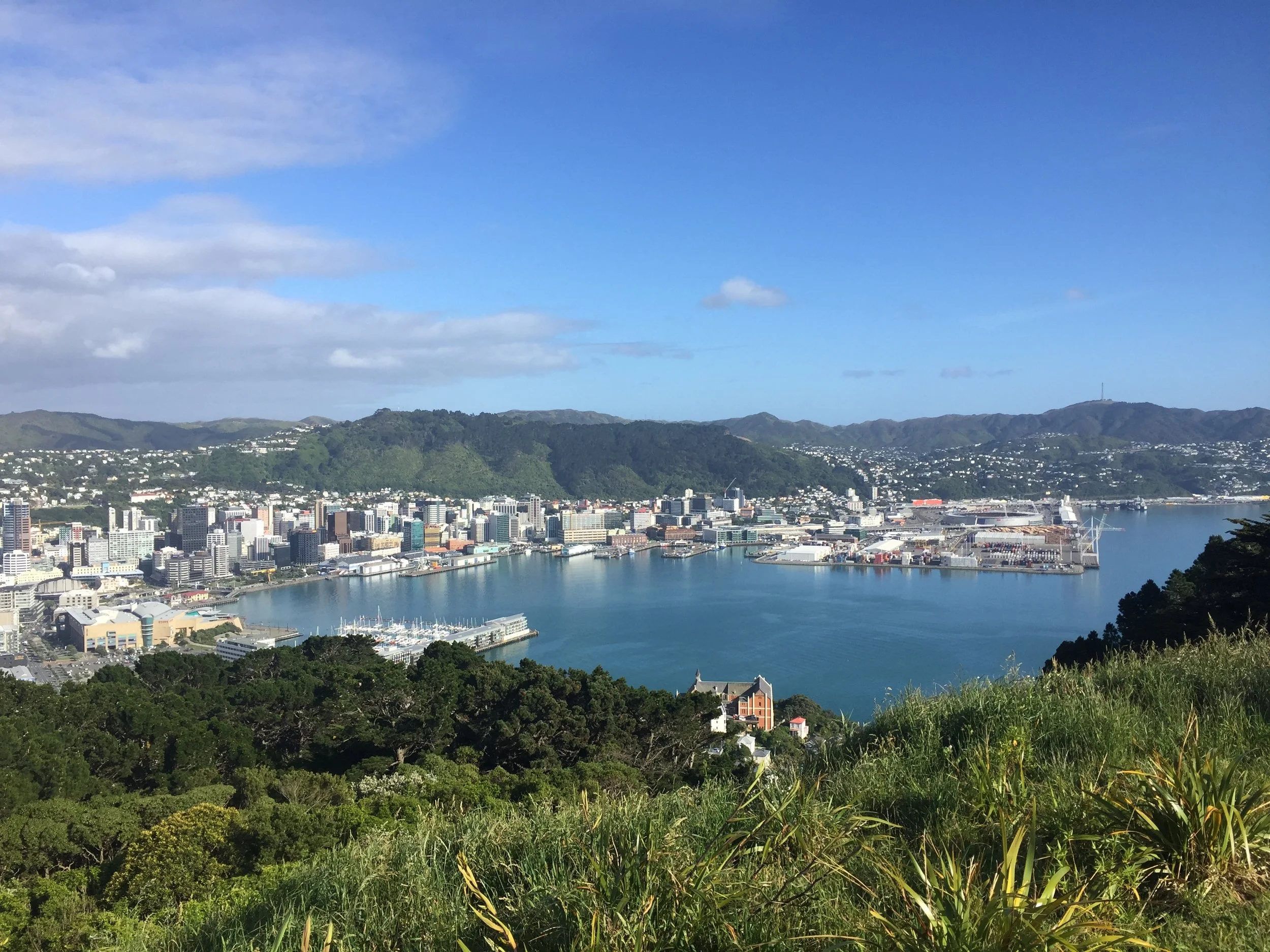 Wellington03.JPG