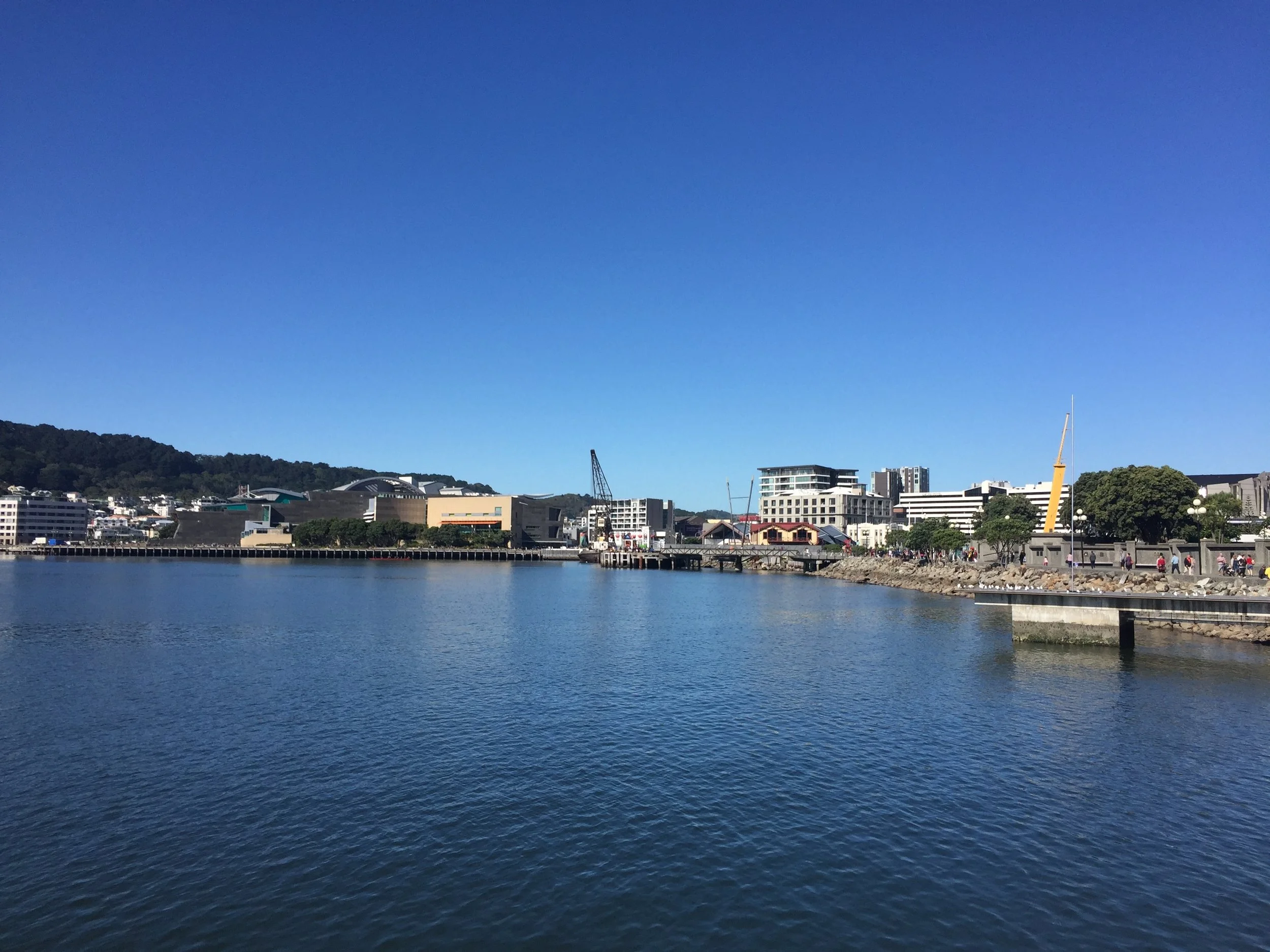 Wellington on a good day_016.JPG