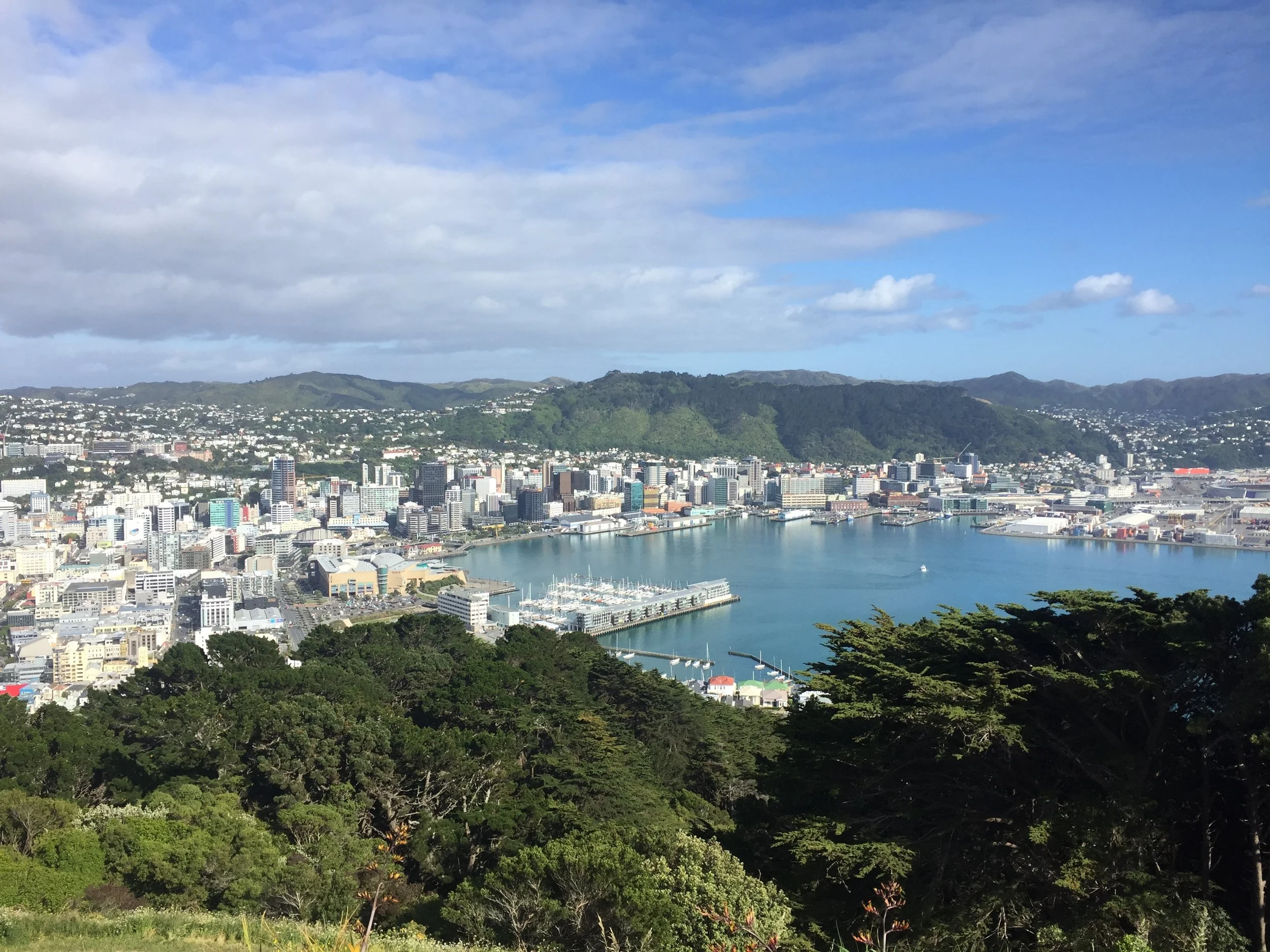 Wellington05.JPG