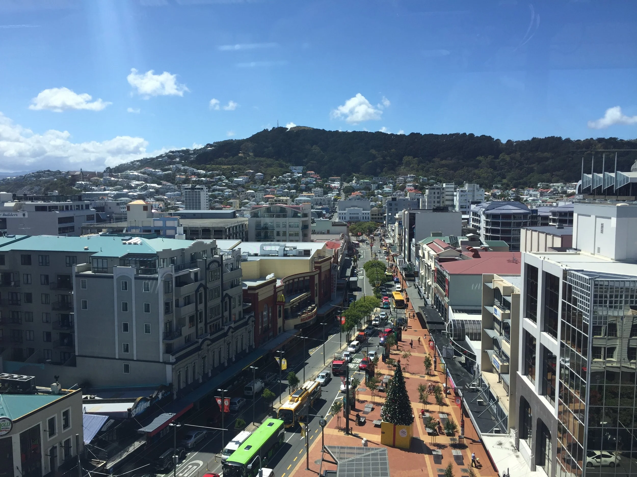Wellington rooftop bar.JPG