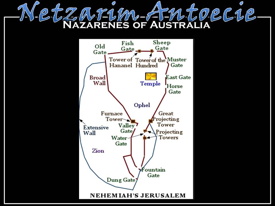 Slide 7