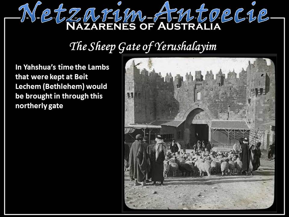 Slide 8