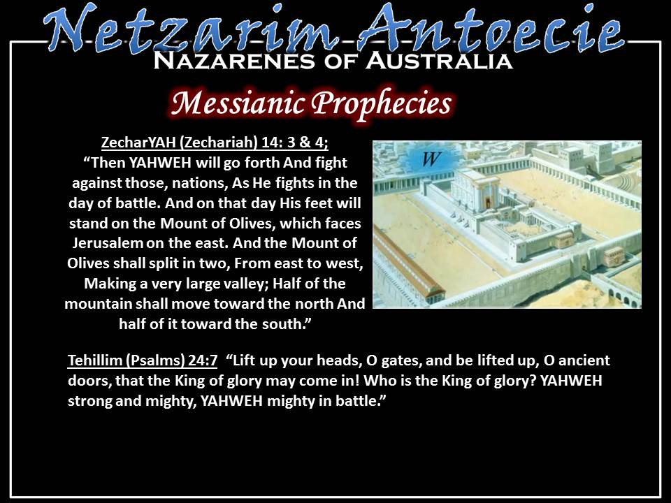 Slide 10