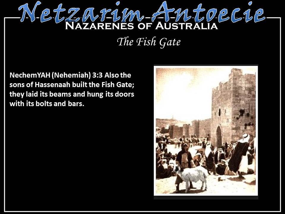 Slide 11
