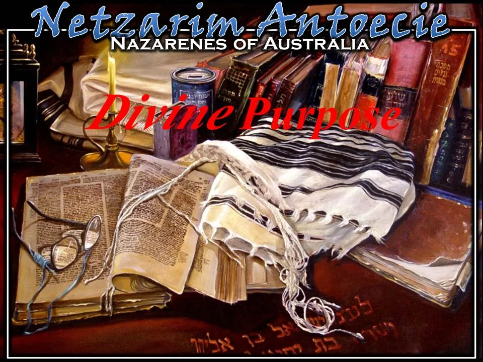 Divine Purpose - Part 1