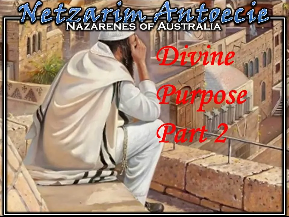 Divine Purpose - Part 2