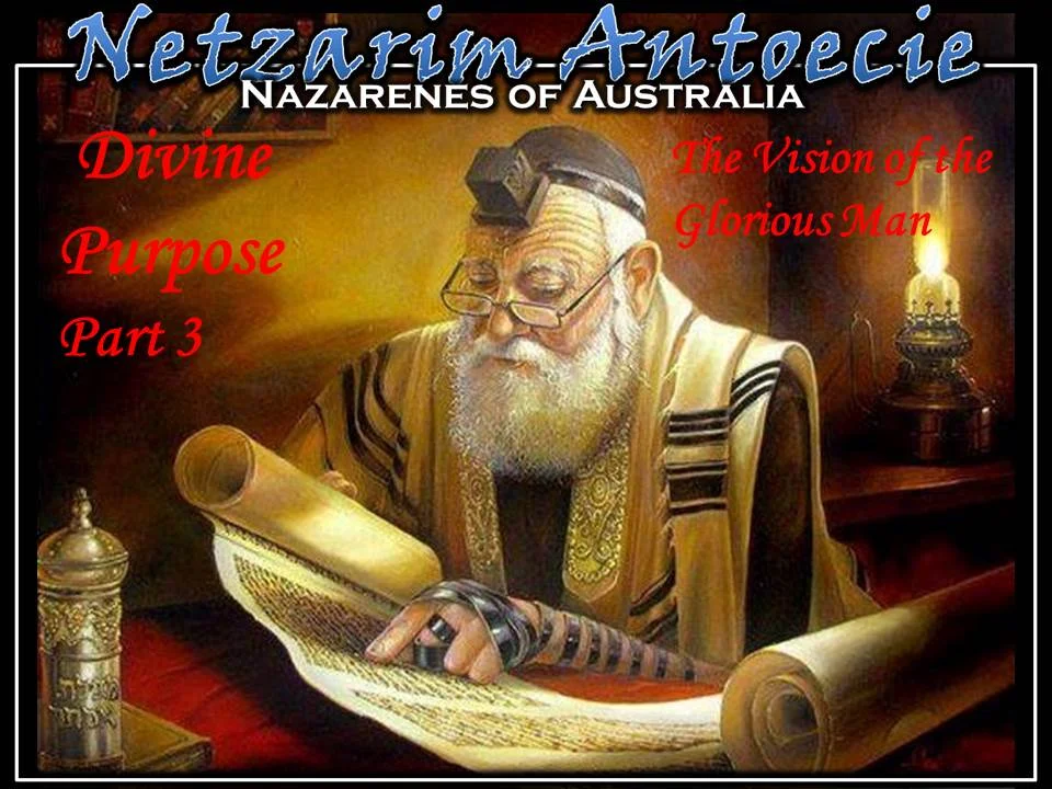 Divine Purpose - Part 3