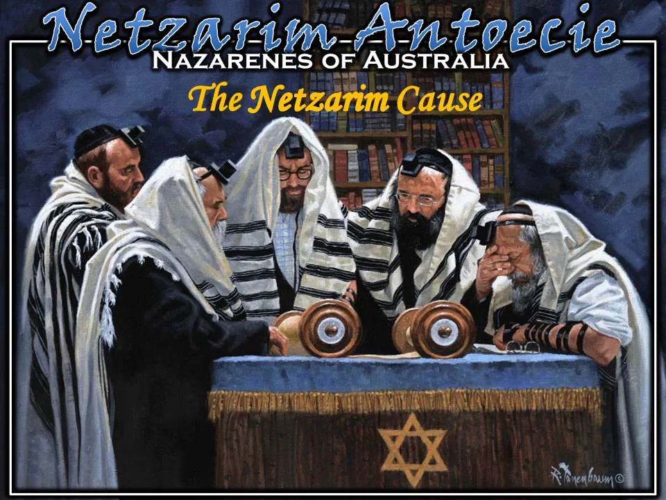 The Netzarim Cause