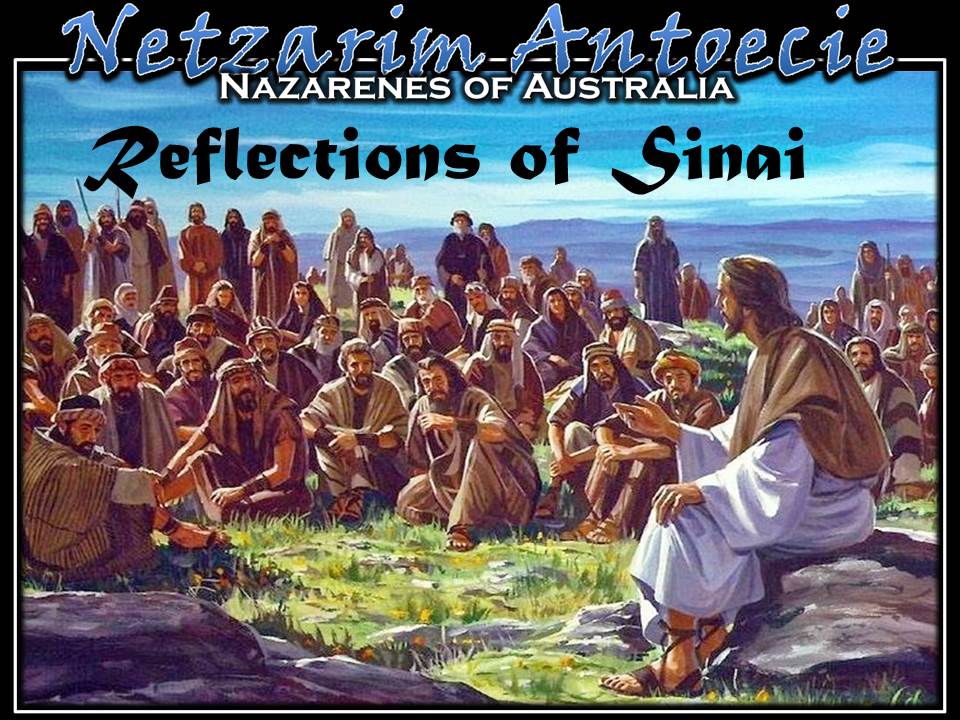 Reflections of Sinai