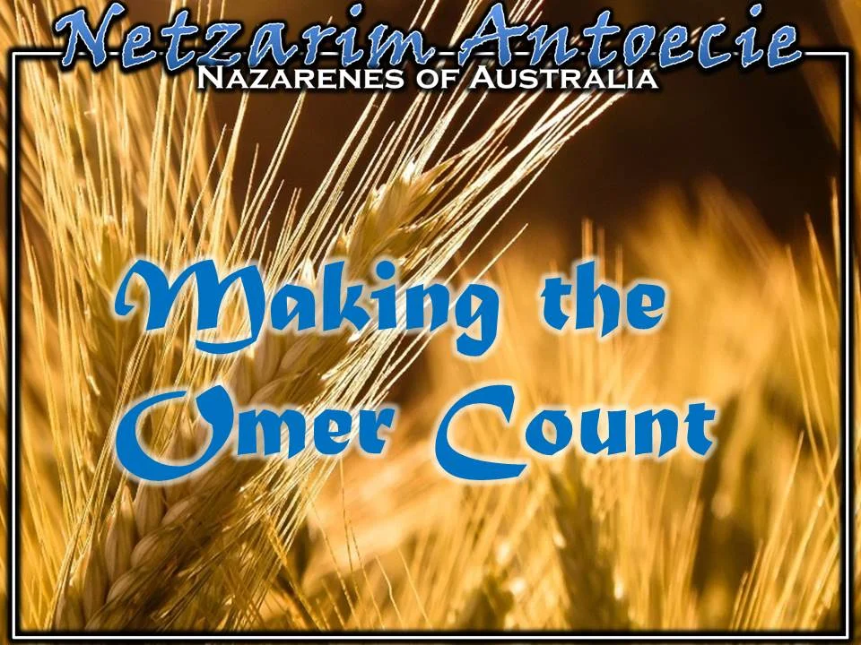 Making the Omer Count
