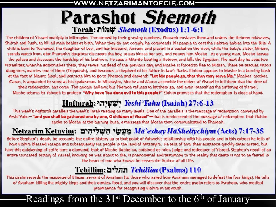 Torah Portion Shemot.jpg