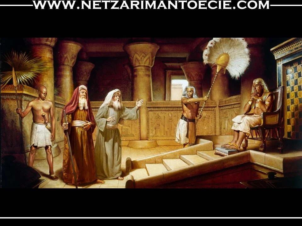 Va' eira-Where is Free Will in All This