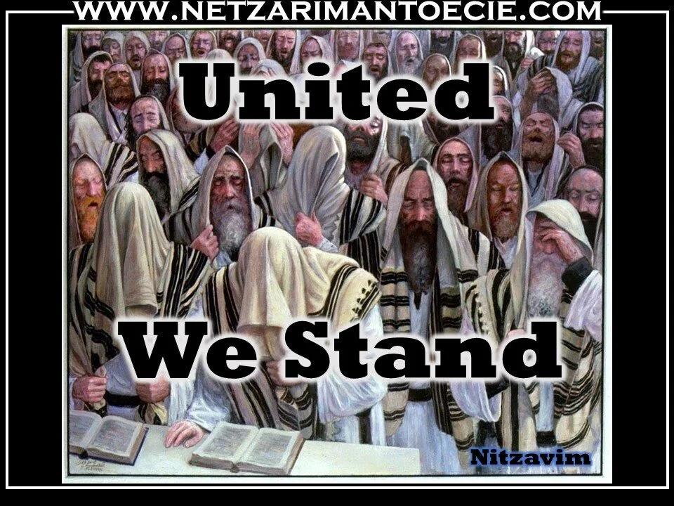 Nitzavim/ Vayelech-United We Stand