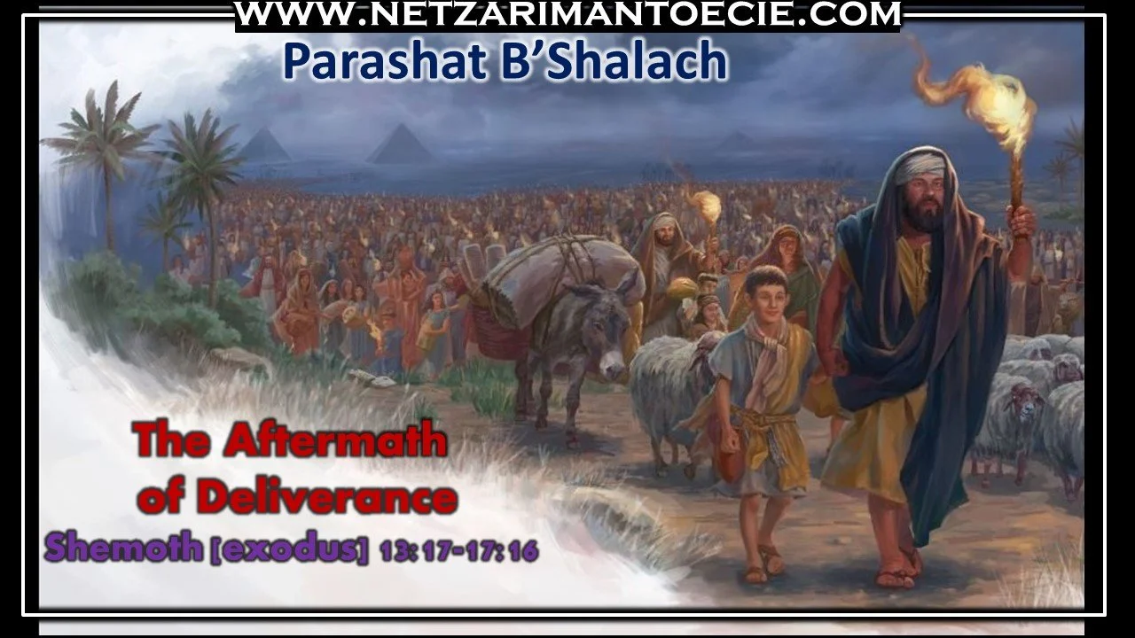B'Shalach- The Aftermath of Deliverance