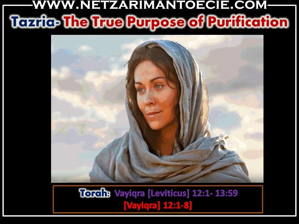 Tazria- The True Purpose of Purification
