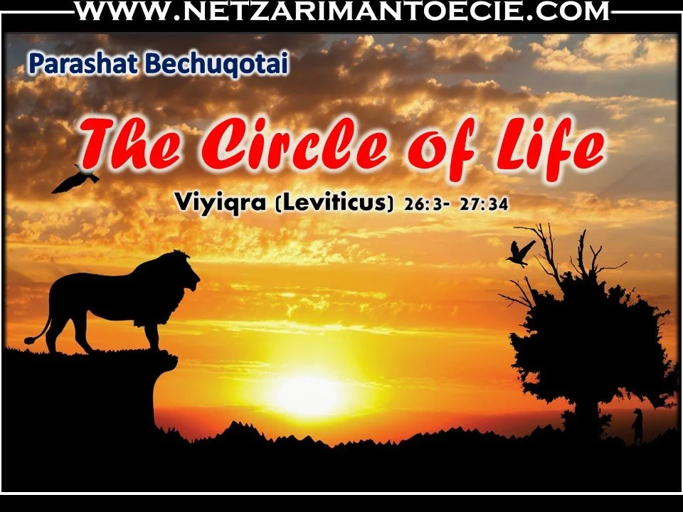Bechuqotai- The Circle of Life