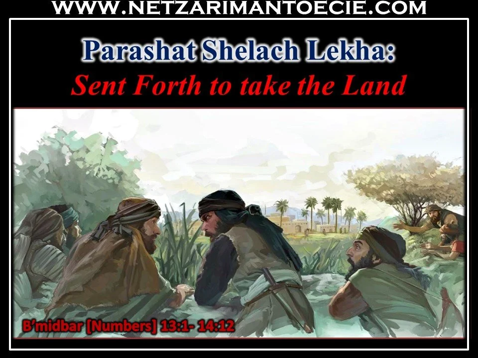 Shelach Lekha- Sent to Take the Land