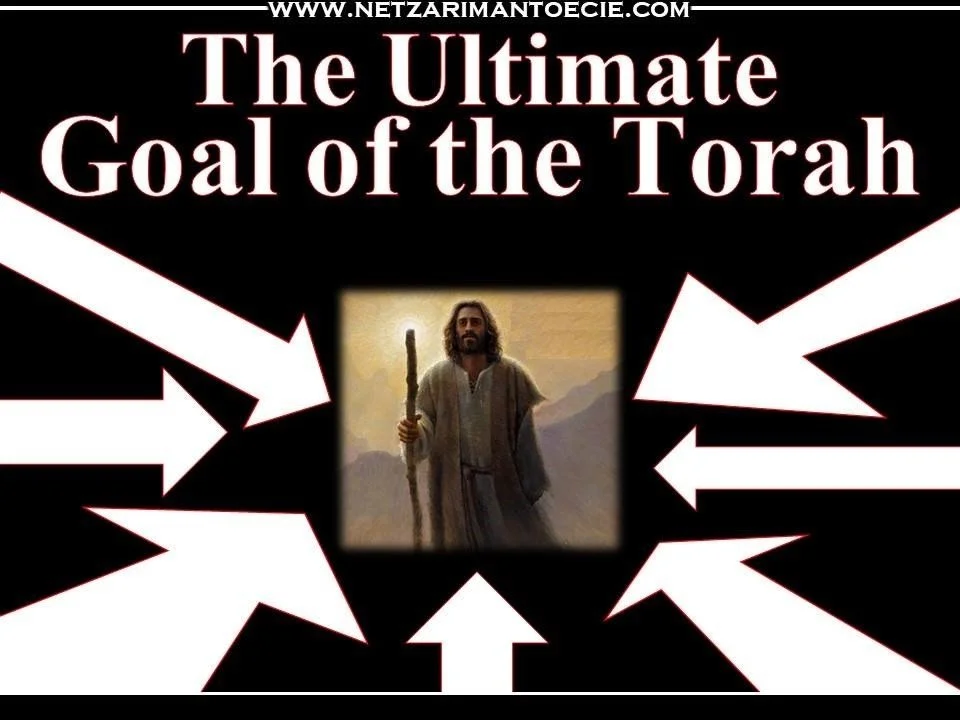 Ki Teitzei- The Ultimate Torah Goal