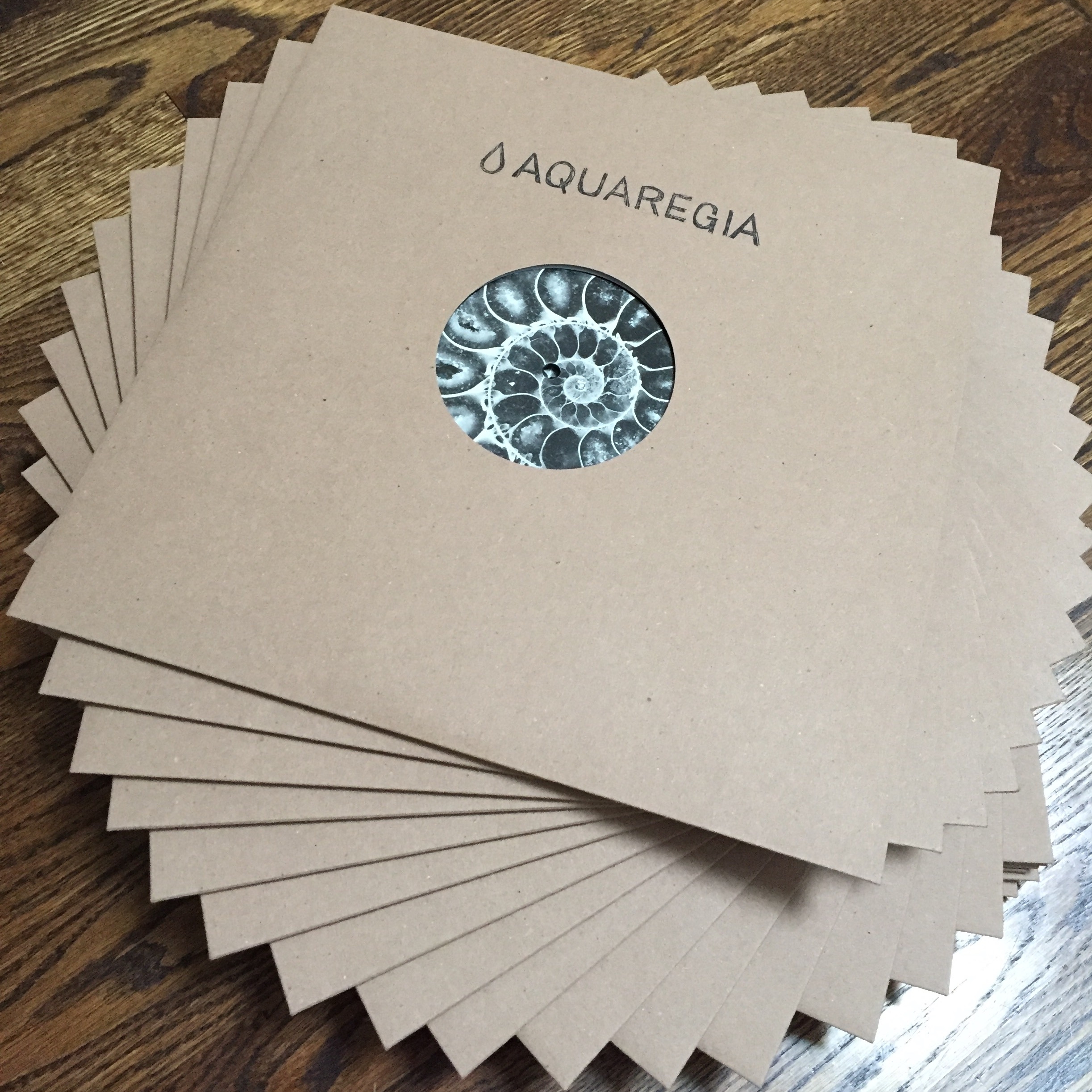 Aquaregia Ammonite EP Vinyls.jpg