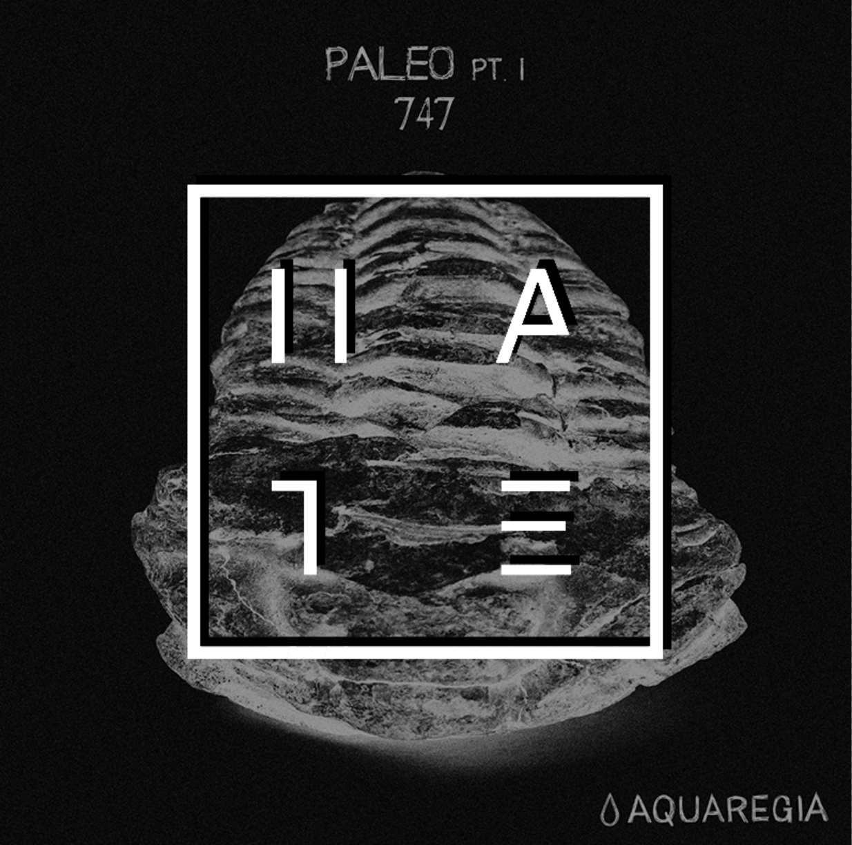 Paleo Premiered on Hate