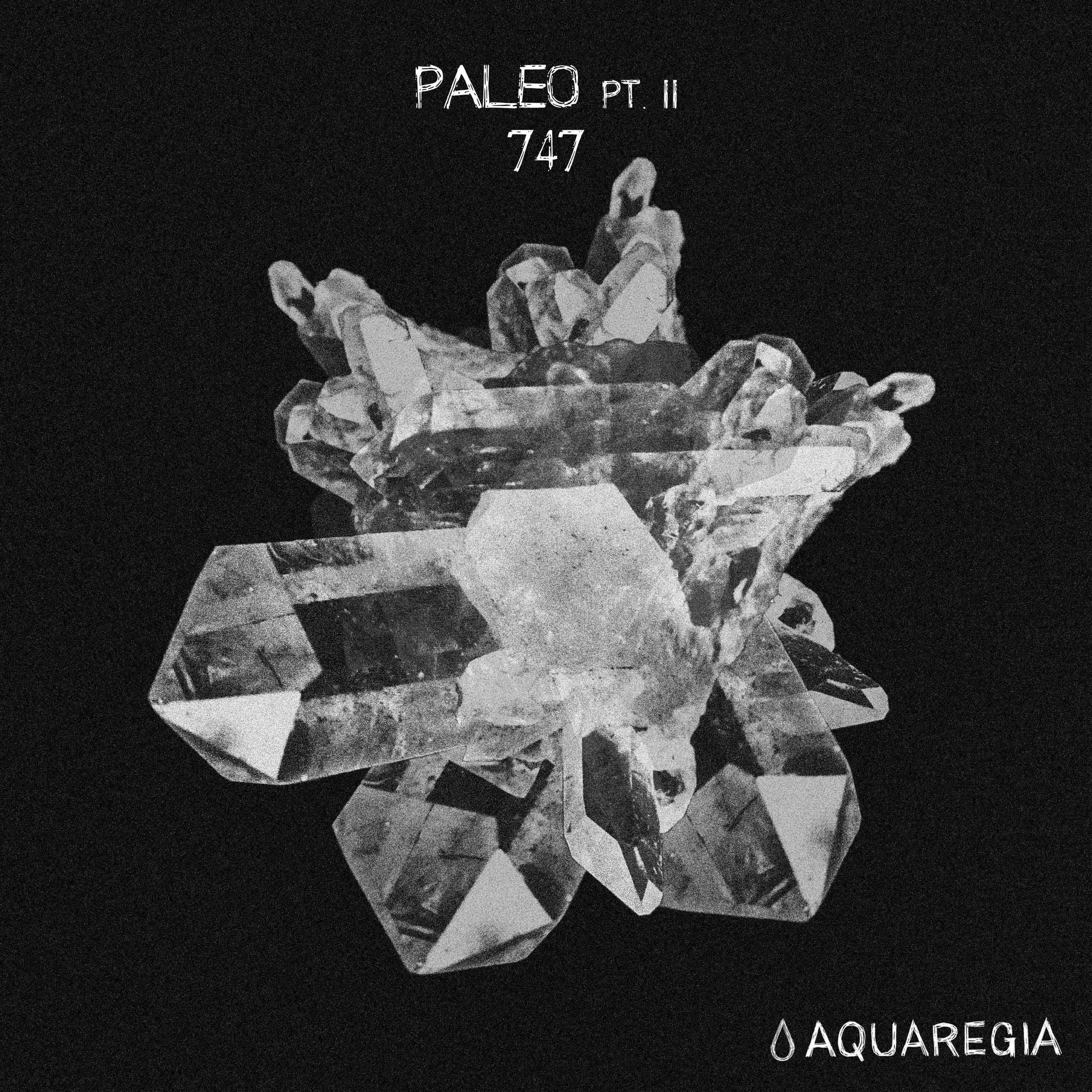 747 - Paleo Pt. II EP [AQR008]