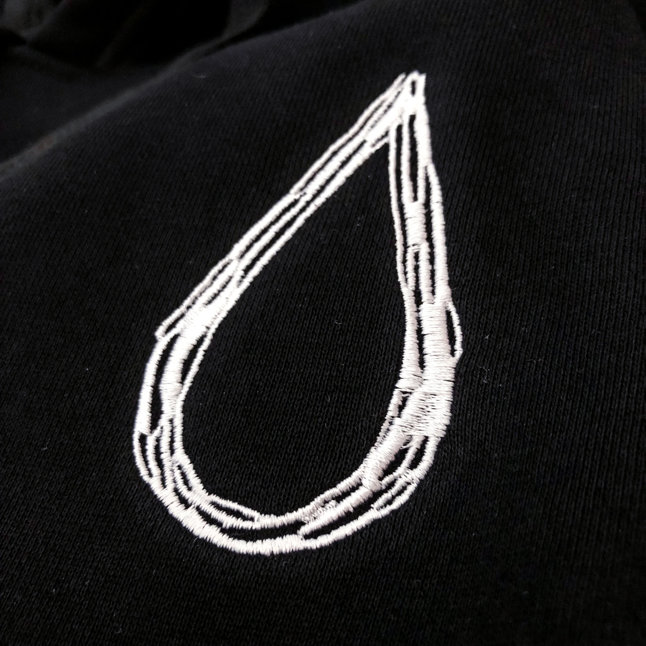 Aquaregia Embroidered Hoodie Drop Zoom