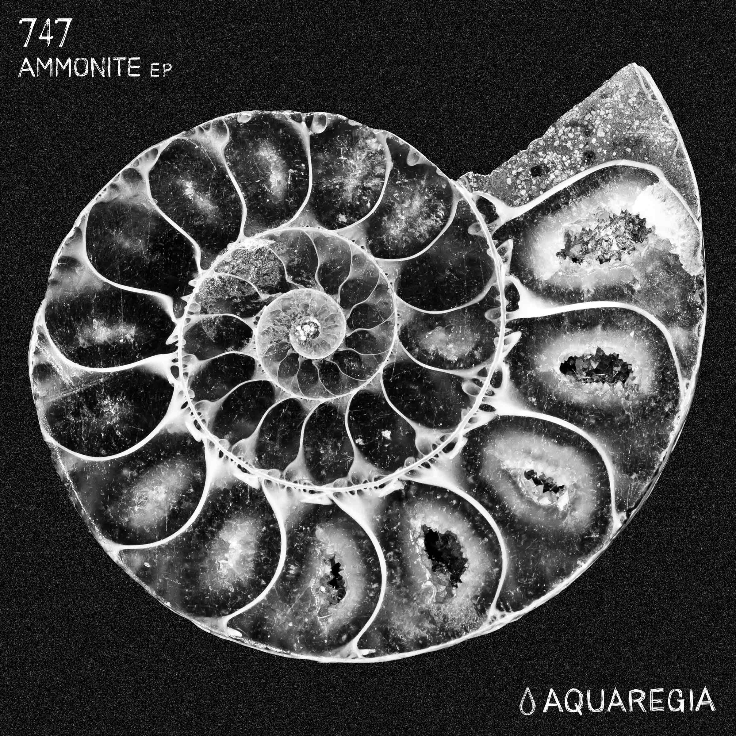 747 - Ammonite EP [AQR005]