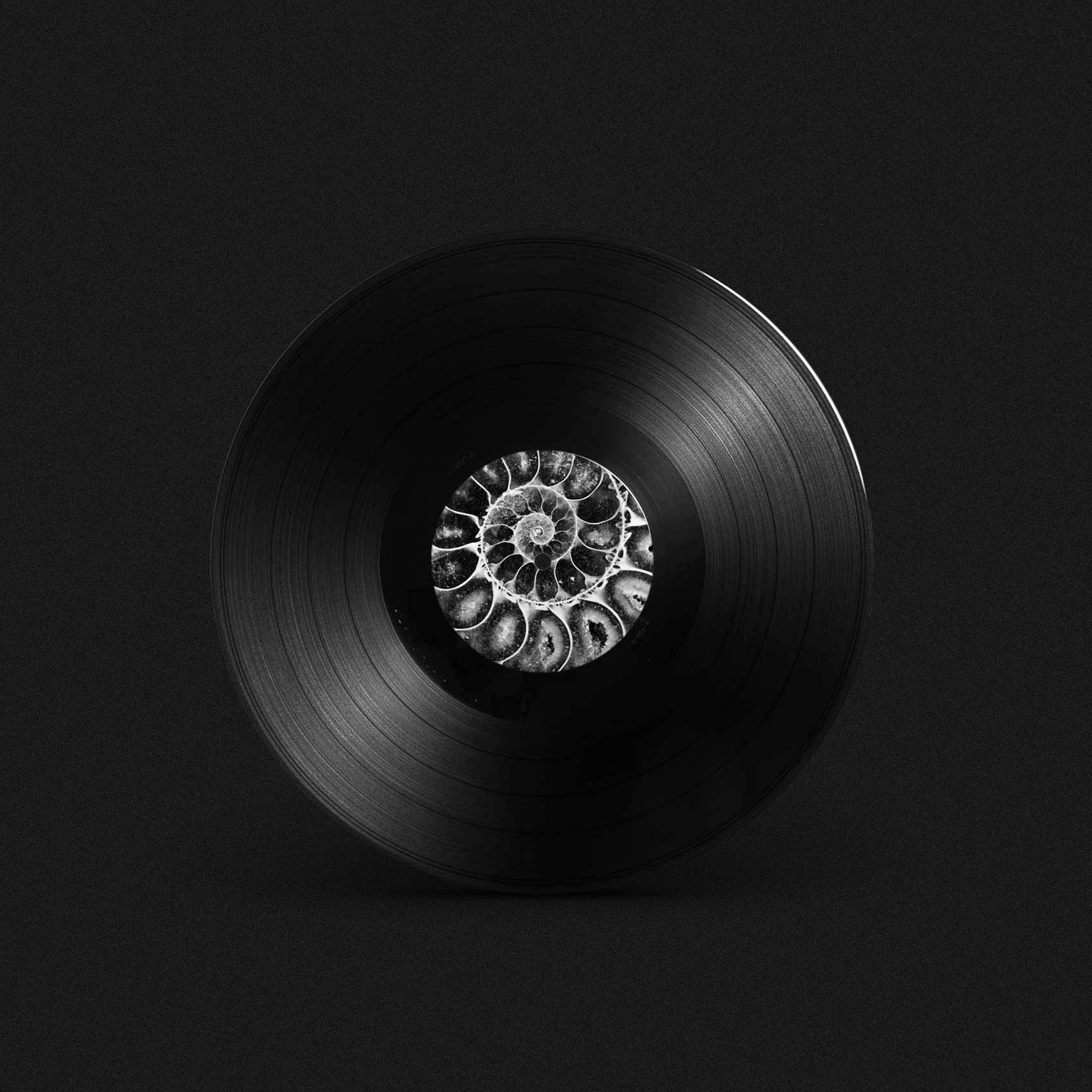 747 - Ammonite EP (12" Vinyl) [AQR005]